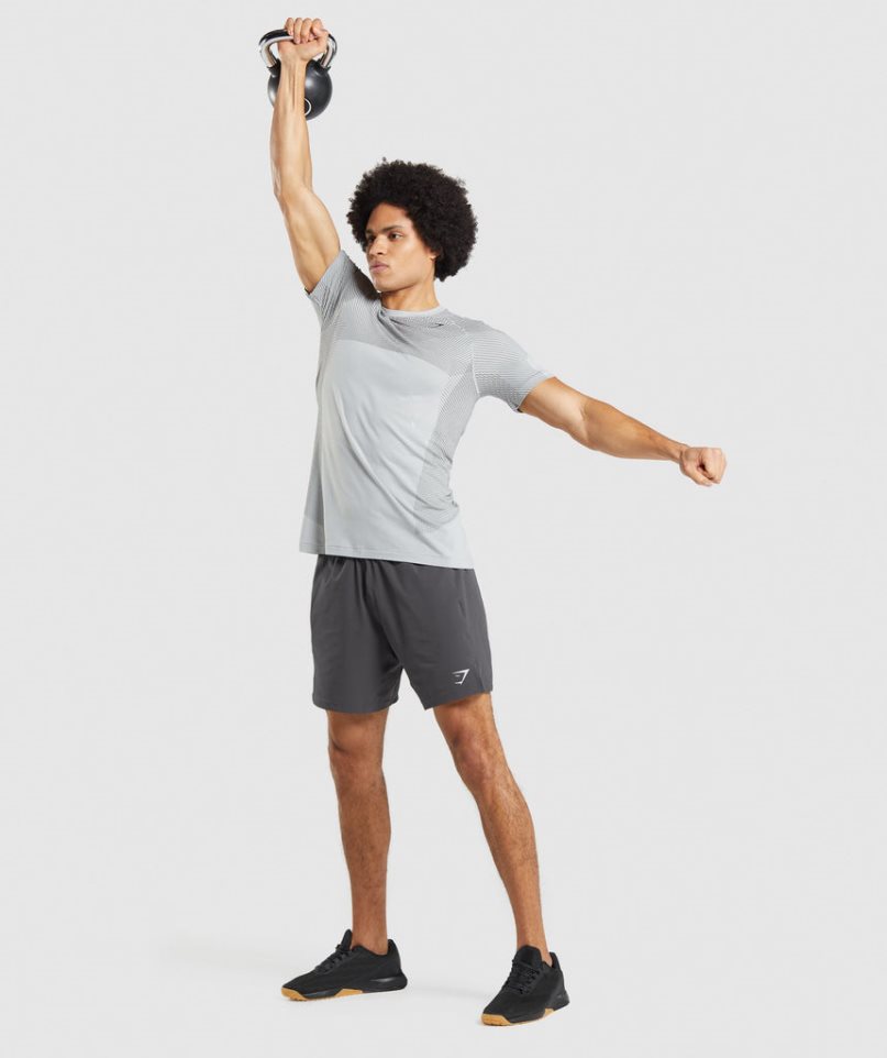 Men's Gymshark Apex Seamless T-Shirts Light Grey | NZ 0PATOS